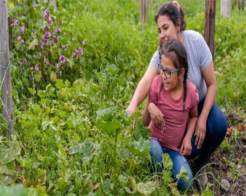 代孕包性别套餐,什么是第二代试管婴儿(ICSI) 第二代试管婴儿介绍